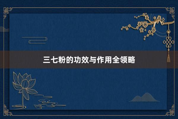 三七粉的功效与作用全领略