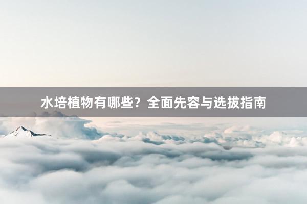 水培植物有哪些？全面先容与选拔指南
