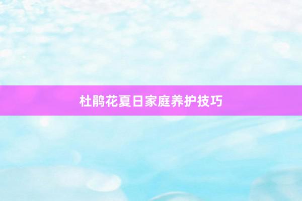 杜鹃花夏日家庭养护技巧