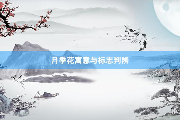月季花寓意与标志判辨